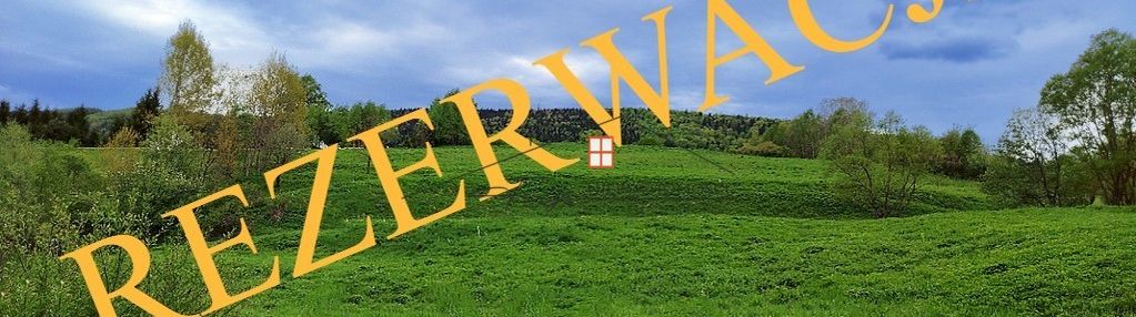 Sprzedam działkę 2 ha k. ustrzyk dolnych