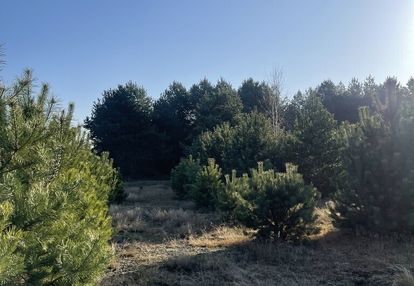 Działka o pow.6883 m² w zielonej okolicy.