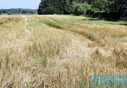 Działka z warunkami zabudowy !!!