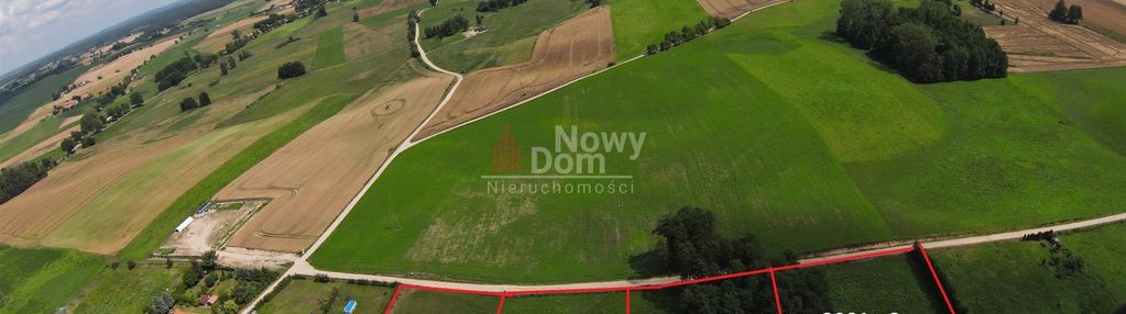 Działki kożuchy wielkie z lasem!