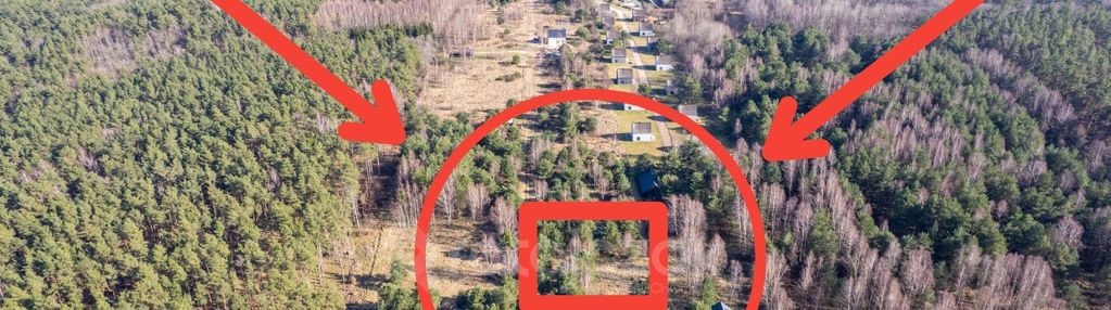 Działka inwestycyjna | sasino | las widok na morze