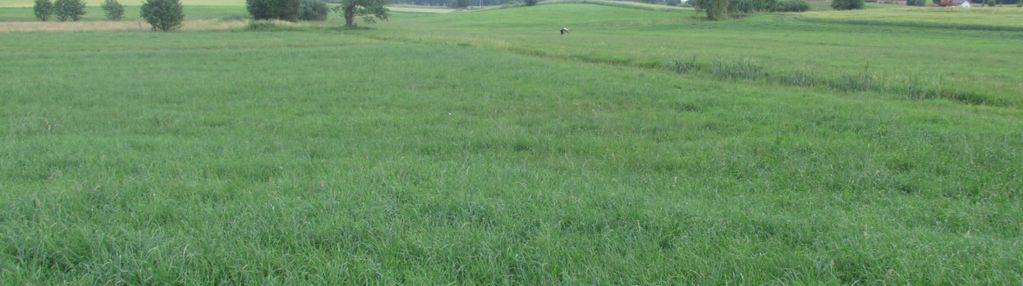 Duża działka inwestycyjna 15 ha | wz | mazury