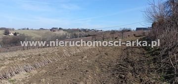 Duża ksztatna działka rolna w sąsiedztwie domów