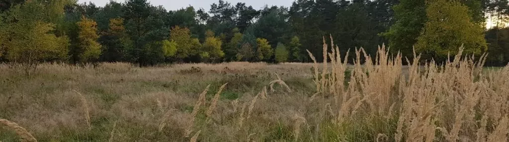 Działka na sprzedaż 5000m2