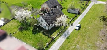 Dom do kapitalnego remontu, duża działka bluszczów