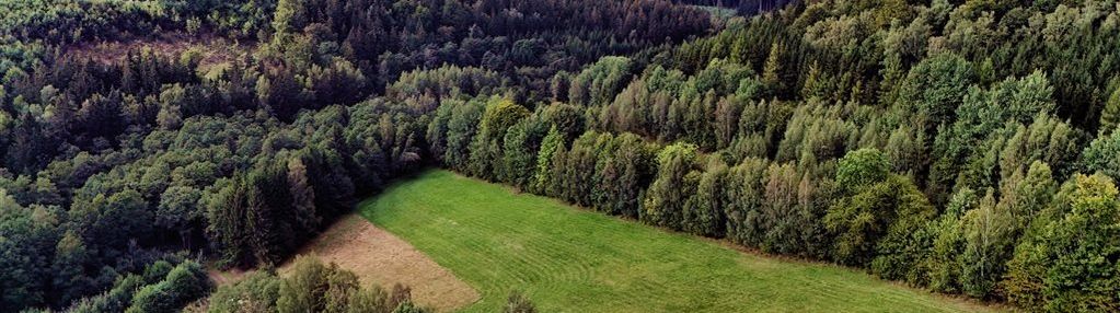 Szarocin | duża działka w górskim klimacie