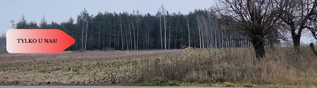 Działka  blisko dużego lasu - tylko u nas