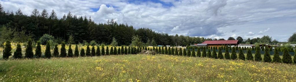 Działka rod na wirażu osuchów gmina mszczonów