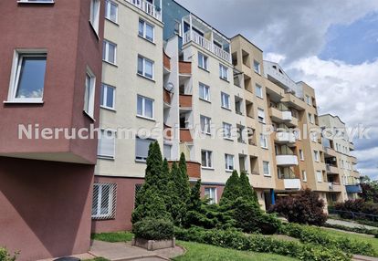 Wilda, 2 pokoje, kuchnia, wynajem
