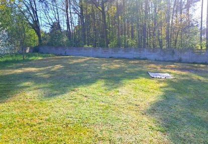 Działka budowlana bezpośrednio obok lasu, borków
