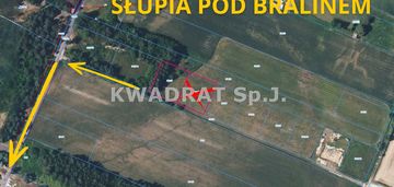Mieszk-usłu/2171m2/blisko s8/słupia p. bralinem