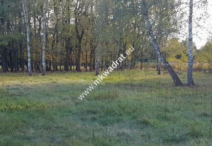 ⭐⭐⭐⭐ makówka obok czrnego lasu na dom 2 lokal⭐⭐⭐⭐