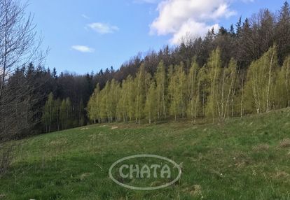 Działka/ rekreacyjna/siedliskowa