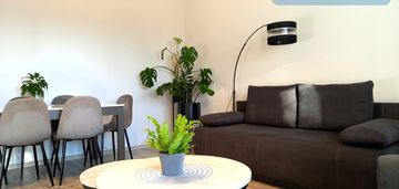 Piątkowo- 2 niezależne pokoje- osobna kuchnia!