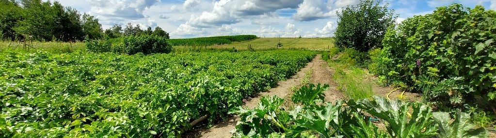 Wyjątkowe gospodarstwo z domem | kaszuby gm. brusy
