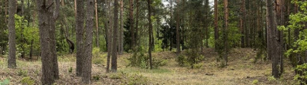 Działka w lesie 2064 m² - letniskowa i całoroczna