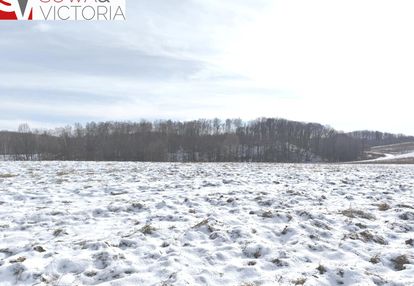 Inwestycja - trzy bliźniaki lub domy jednorodzinne