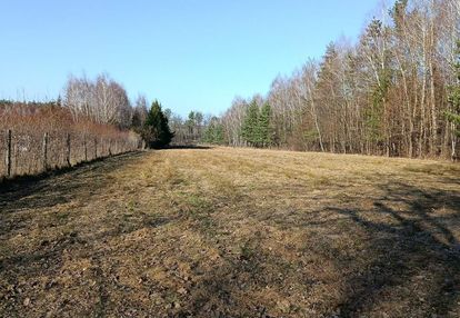 Działka budowlano-rolna 90 ar, krzywe.