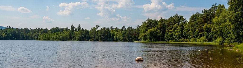 150m do jeziora | działka 1400m2 | osiedle sosnowe