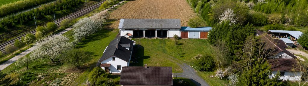 Gospodarstwo sadownicze 6,86 ha franciszków