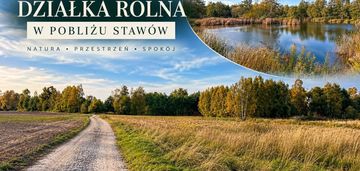 Działka rolna 71,69ar – nowa wieś, gm. domaszowice