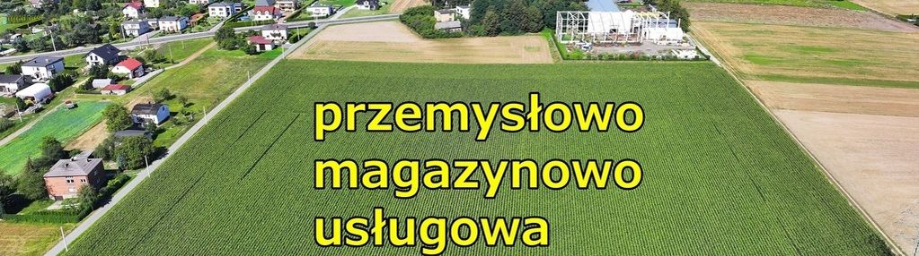 Produkcyjno - magazynowo - usługowa