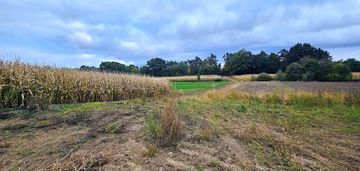 Duża widowiskowa cicha działka siekierowice