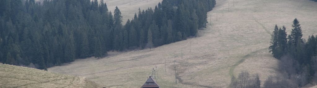 Udział w dużej nieruchomości rolnej w dursztynie