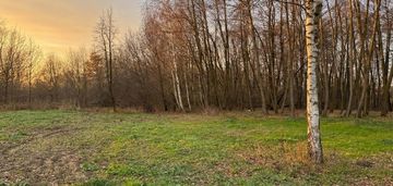 Pozwolenie na budowę+prąd+wodociąg / strumyk i las