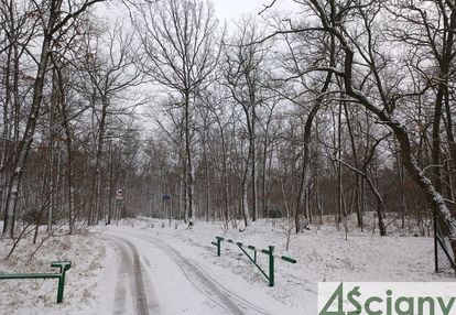 Przepiękne miejsce na choszczówce, 1562m