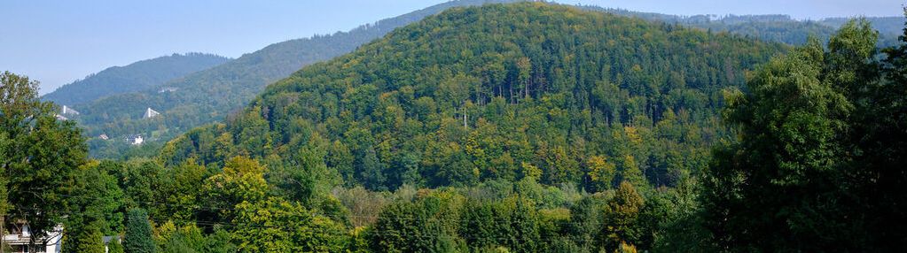 Widokowa działka budowlana