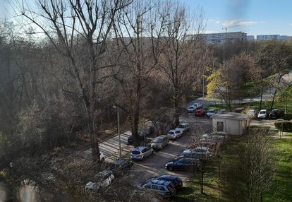 Na 40 metrach 2 słoneczne, osobne pokoje.