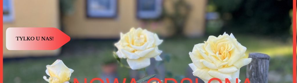 Siedlisko wśród pól dom, budynki., ziemia 27.59ha