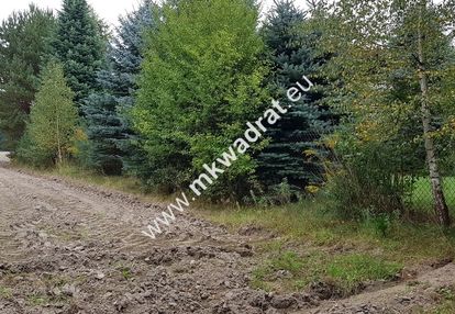 Działka w otulinie lasu