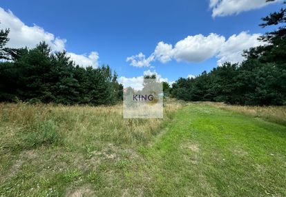 Działka z widokiem na zieleń