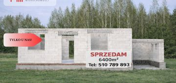 Dom w budowie na leśnej działce – bory tucholskie