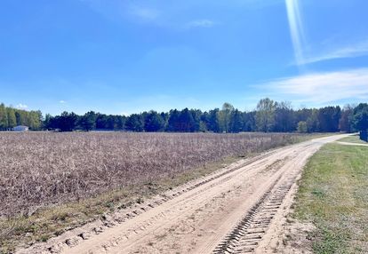 Spokój, natura, potencjał – 1,7 ha działki!