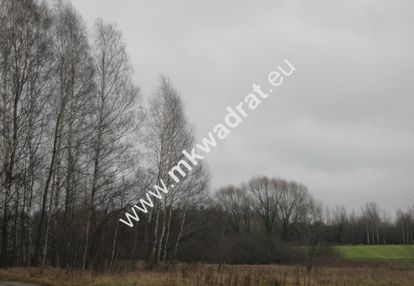 Radziejowice 31.900m2 przemysłowo-usługowa