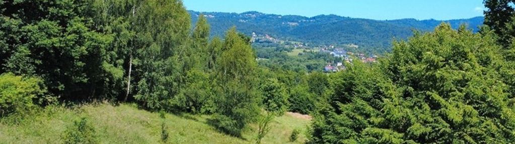 Działki rolne w gilowicach