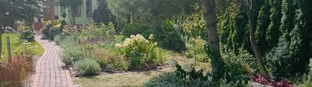 Wyjątkowa nieruchomość w pobliżu parku zdrojowego!