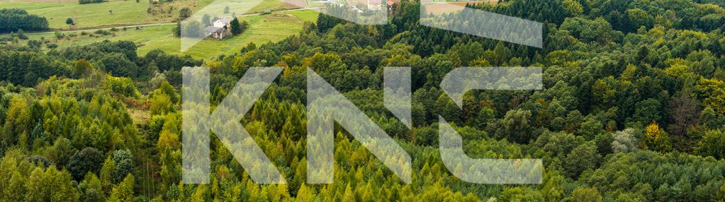 Na sprzedaż działka w zalasowej