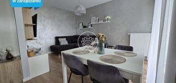 Nowy apartament na wynajem .