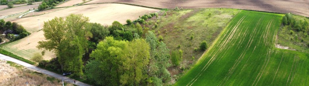 Działka rolna 1,357ha. radziemice, niedaleko gminy