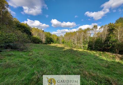 Niegdyś siedlisko-dziś twój ruch | 5,6 ha kobysewo