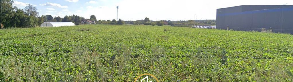 Działka usługowo przemysłowa 1,135 ha węglinek