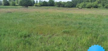 Działka 1300 m2 modrzewo z wz