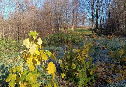 0 % prowizji ! gotowe ! tylko teraz mega rabaty