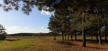 Działka budowlana w otoczeniu zieleni– zmysłówka