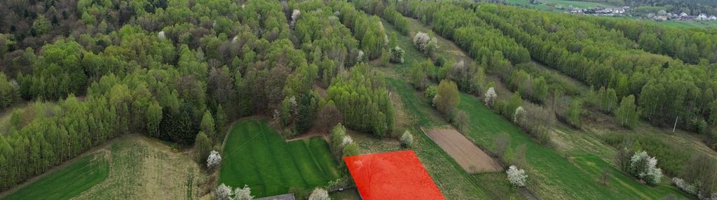 Działka 2953m2, cierchy, gm. mniów