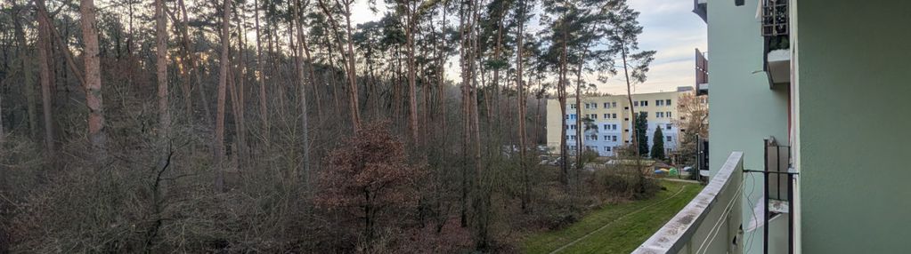 Możliwość zakupu przez cudzoziemca